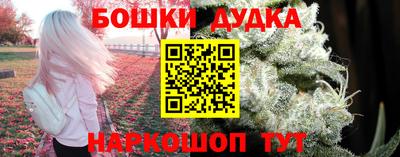 стаф Гай