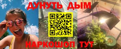 стаф Гай