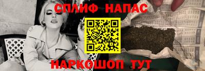 spice Гагарин
