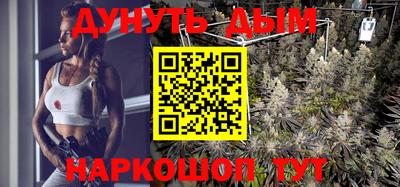 стаф Гай