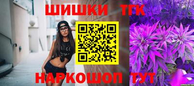 spice Гатчина