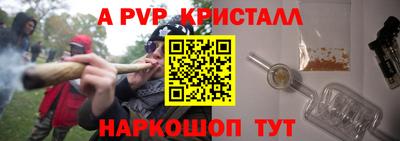 стаф Гай