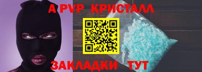 стаф Гай