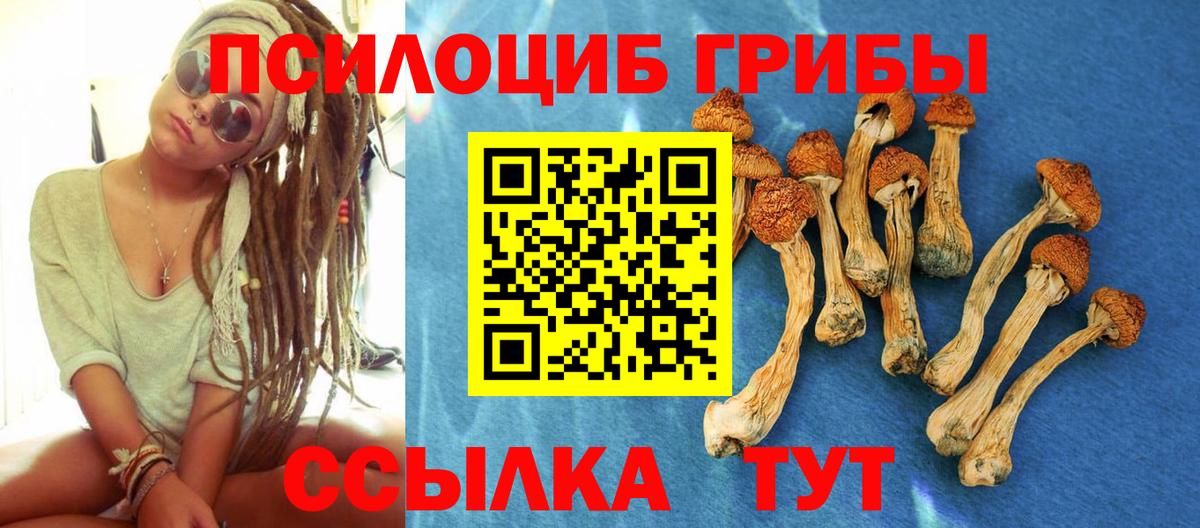 Галлюциногенные грибы прущие грибы Россия