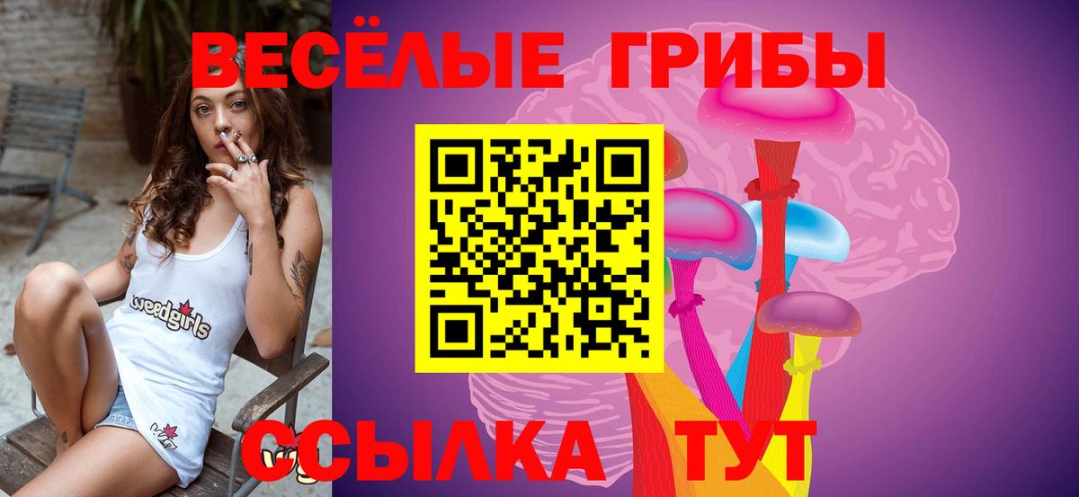 Россия  Галлюциногенные грибы Psilocybe  как найти закладки  Вход с VPN  Псилоцибиновые грибы мицелий 
